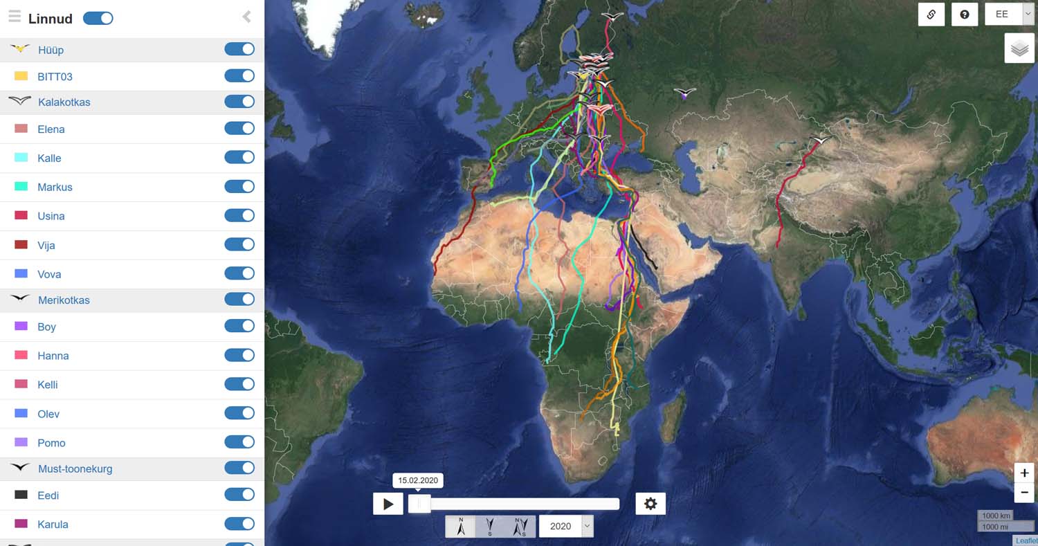 Saatjatega varustatud lindude rändeteekonnad on kõigile nähtavad avalikul rändekaardil (https://birdmap.5dvision.ee)