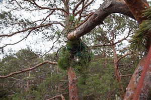 Kaamera sai maskeeritud nii palju kui võimalik.