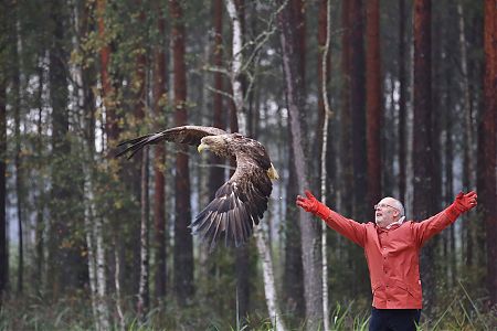 Merikotkas Saara vabastamine. Foto: Madis Leivits