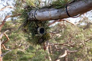 Kaamera pesalt vaadatuna. Objektiivi varjasime niivõrd, kui see võimalik oli. Foto: Urmas Sellis